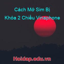 Cách Mở Sim Bị Khóa 2 Chiều Vinaphone