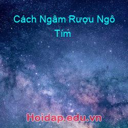 Cách Ngâm Rượu Ngô Tím