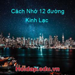 Cách Nhớ 12 đường Kinh Lạc