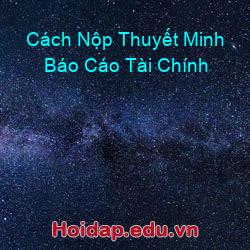Cách Nộp Thuyết Minh Báo Cáo Tài Chính