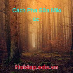 Cách Pha Sữa Milo úc