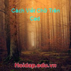 Cách Viết Chữ Trên Cad