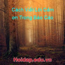 Cách Viết Lời Cảm ơn Trong Báo Cáo