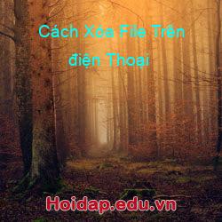 Cách Xóa File Trên điện Thoại