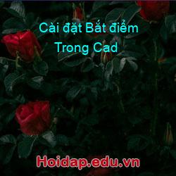 Cài đặt Bắt điểm Trong Cad