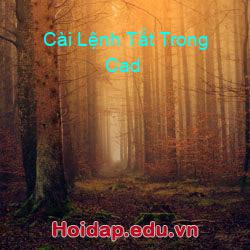 Cài Lệnh Tắt Trong Cad