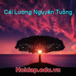 Cải Lương Nguyên Tuồng