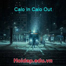 Calo In Calo Out