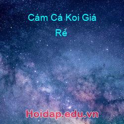 cám cá koi giá rẻ