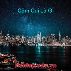 Cặm Cụi Là Gì