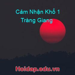 Cảm Nhận Khổ 1 Tràng Giang