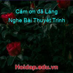 Cảm ơn đã Lắng Nghe Bài Thuyết Trình