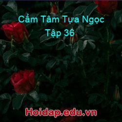 Cẩm Tâm Tựa Ngọc Tập 36