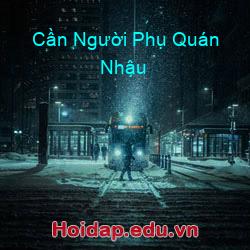 Cần Người Phụ Quán Nhậu
