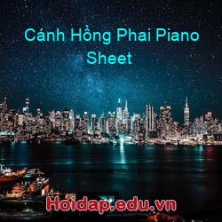 Cánh Hồng Phai Piano Sheet