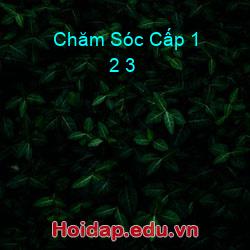 Chăm Sóc Cấp 1 2 3
