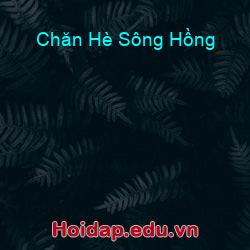 Chăn Hè Sông Hồng