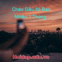 Cháo Gấu đỏ Bao Nhiêu 1 Thùng