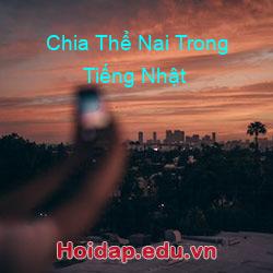 Chia Thể Nai Trong Tiếng Nhật