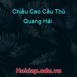 Chiều Cao Cầu Thủ Quang Hải
