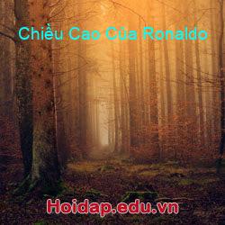 Chiều Cao Của Ronaldo