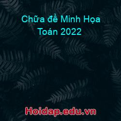 Chữa đề Minh Họa Toán 2022
