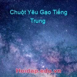 Chuột Yêu Gạo Tiếng Trung