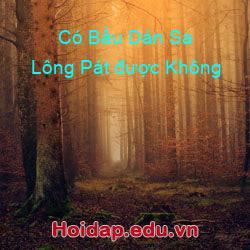 Có Bầu Dán Sa Lông Pát được Không