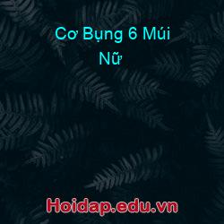Cơ Bụng 6 Múi Nữ