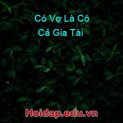 Có Vợ Là Có Cả Gia Tài