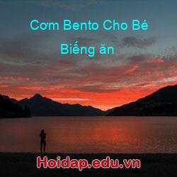 Cơm Bento Cho Bé Biếng ăn