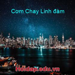Cơm Chay Linh đàm