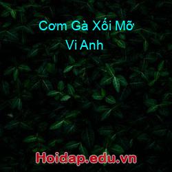 Cơm Gà Xối Mỡ Vi Anh