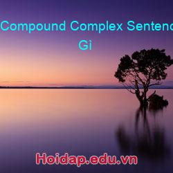Compound Complex Sentences Là Gì