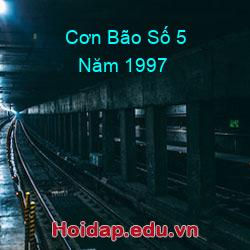 Cơn Bão Số 5 Năm 1997