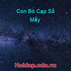 Con Bò Cạp Số Mấy