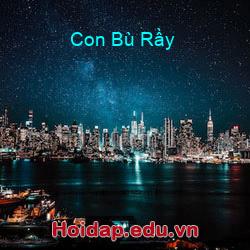 Con Bù Rầy
