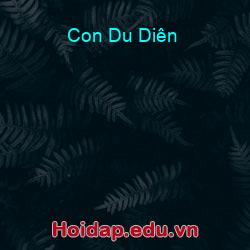 Con Du Diên