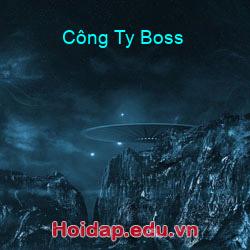 Công Ty Boss