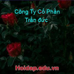 Công Ty Cổ Phần Trần đức