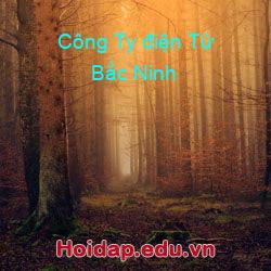 Công Ty điện Tử Bắc Ninh