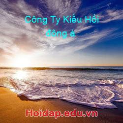 Công Ty Kiều Hối đông á