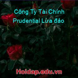 Công Ty Tài Chính Prudential Lừa đảo