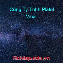 Công Ty Tnhh Platel Vina