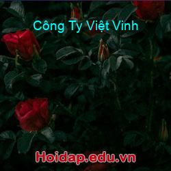 Công Ty Việt Vinh