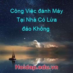 Công Việc đánh Máy Tại Nhà Có Lừa đảo Không