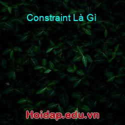 Constraint Là Gì