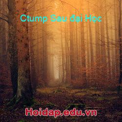 Ctump Sau đại Học