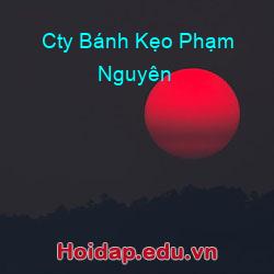 Cty Bánh Kẹo Phạm Nguyên