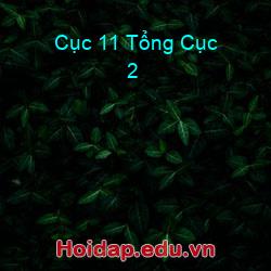 Cục 11 Tổng Cục 2